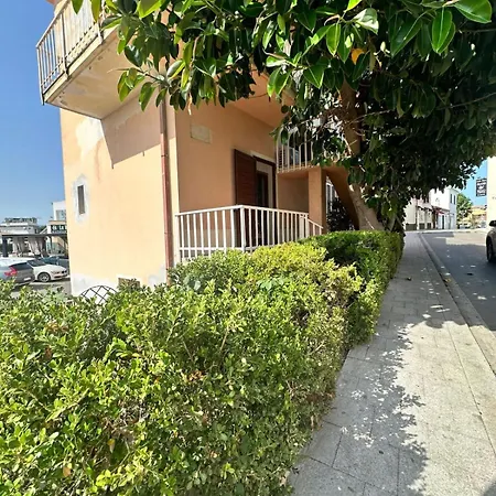 Ficus * San Teodoro (Sardinia)